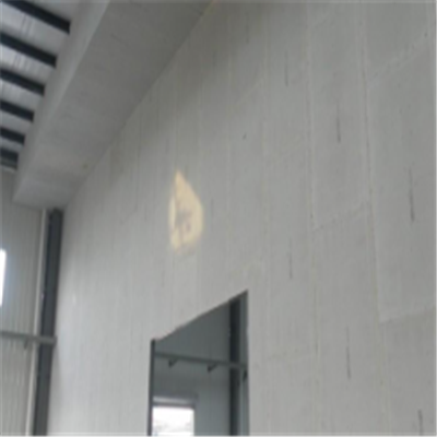 凤山宁波ALC板|EPS加气板隔墙与混凝土整浇联接的实验研讨